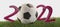 2022 soccer ball fine letters on green soccer field 3d-illustration