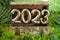 2023 golden numbers emerging from a gold painted treasure box on green composition with moss, fern and glitter.