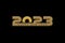 2023 icon vector gold on black