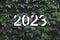 2023 New year white text hidden in natural green leaves wall