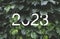 2023 New year white text hidden in natural green leaves wall