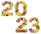 2023 year number made of fruits and berries isolated on white background