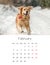 2024 year Photo calendar with cute dogs