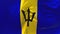 205. Barbados Flag Waving in Wind Continuous Seamless Loop Background.