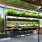 208 A sustainable urban farm with vertical gardens, aquaponics systems, and community workshops, promoting urban agriculture and