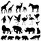 2237 silhouette, Set of elements, silhouettes of black, exotic animals and birds, isolate on a white background