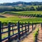 225 A charming countryside vineyard with rolling vineyards, wine tastings, and scenic picnic areas, inviting visitors to savor t