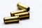 .22LR Empty Shell Casings