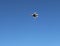 23 November 2018: US fighter plane at the Air Show, Salinas CA.