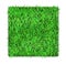 239_Vector square vertical garden or green wall with decorative green grass
