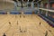 24 June 2020 Interior of a modern multifunctional gymnasium at hk