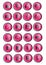 24 multimedia icons or bright pink and silver buttons