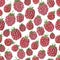 2481 pattern, seamless pattern, watercolor illustration, raspberry , wallpaper ornament, wrapping paper