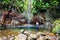 The 25 Fontes waterfall and natural pool. Hiking point, located in RabaÃ§al, Paul da Serra on Madeira Island. Portugal