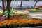 25 January 2023, Pune, India, The empress Botanical Garden during Annual flower show in Pune