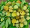 25 Sep 2020, Dhaka, Bangladesh. Custard apple fruit to sell in local fresh market in Dhaka, Bangladesh. Annona reticulata