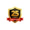 25 years anniversary golden shield badge logo with ribbon