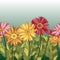 2534 background, seamless background, border with daisy flowers, gerberas, vector illustrations in bright colors