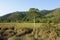 26 Dec 2007 the wetland at Yung Shue O, hong kong