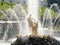 26 of July 2020 - Peterhof, Russia: Statue of Samson tearing the mouth of a lion in the Grand Cascade