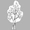 2639 tree, vector illustrations, linear drawing of tree in black and white, isolate, design elements, doodle style