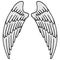 2643 wings, vector illustration, linear drawing of a pair of wings in black and white, isolate, design elements, doodle style