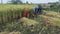 28.10.2020 Etawah, Uttar Pradesh, India. Indian Farmers manually harvesting crop from fields.