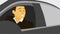 2D animation, male driver receiving keys, smiling, and closing car window. Young man in business suit buing new vehicle