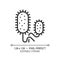 2D customizable thin line black vibrio cholerae icon