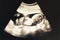 2D Ultrasound photo of infant baby in womb With age About 4 months Shows the shape of infant baby