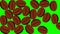 2D Vertical Animation of Falling Coffee Beans on Green Screen Chroma Key