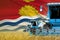 3 blue modern combine harvesters with Kiribati flag on farm field - close view, farming concept - industrial 3D illustration