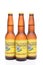 3 Bottles of Cerveza Pacifico Clara