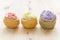 3 Color Choux or Profiterole or Eclair on Wood Table