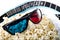 3-D glasses on popcorn heap with film strip