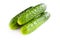 3 fresh cucumbers on a white background, a bunch of beautiful green gherkins from the garden isolate