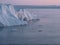 3 Humpback Whale dive near Ilulissat among icebergs during pink midnight sun. Sunrise and Sunset. Their source is by the