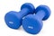 3 kg rubber dipped blue dumbbell