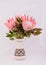 3 large protea`s in a classic earthenware vase