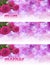 3 x Mother\'s Day Website Banners