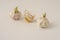 3 old dry and sprouted garlic  cloves against light background. Background image with copy space for text