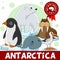 3 part. Animals of Antarctica.