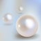 3 Pearls vector bokeh with shadow on a light blue bokeh fog background