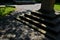 3 rows of stairs in the square are gradually sunk into the paving. Slow transition of the staircase to the plane by blending, inte