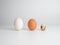3 types of eggs: duck egg chicken egg quail egg