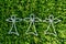 3 white bead angels on freshly mowed green grass background taken from above