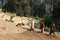 3 women farmers, Himalayan mountains