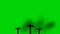 3 Wooden Crosses Burning on a Green Screen Background