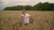 3 year caucasian Boy Running On Golden Wheat Field, Slow Motion.