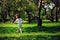 3 years old toddler child boy walking alone in spring or summer walk in garden